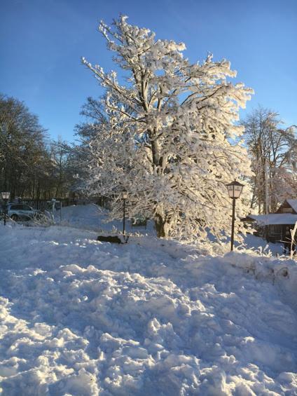 Berggasthof Zum Steira Schotten Luaran gambar